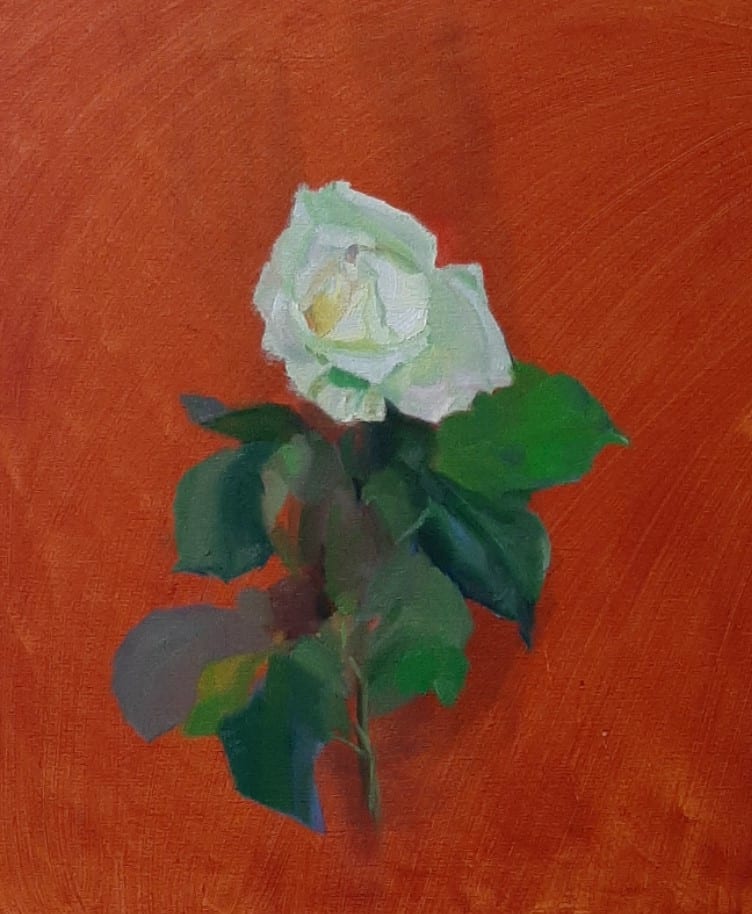 White Rose on Red by Linda Jen Art  Image: White Rose on Red