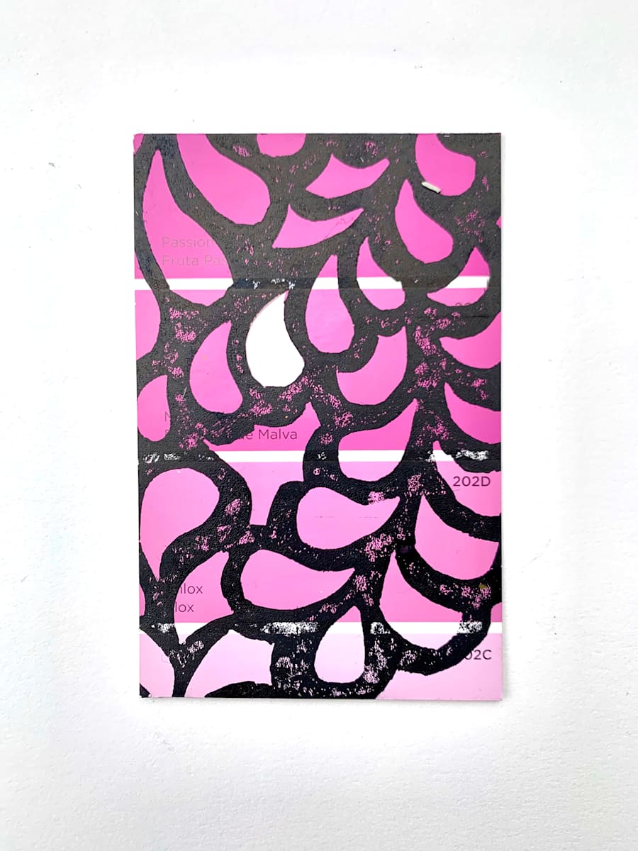 Pink Organdy by Jodi Hoover 