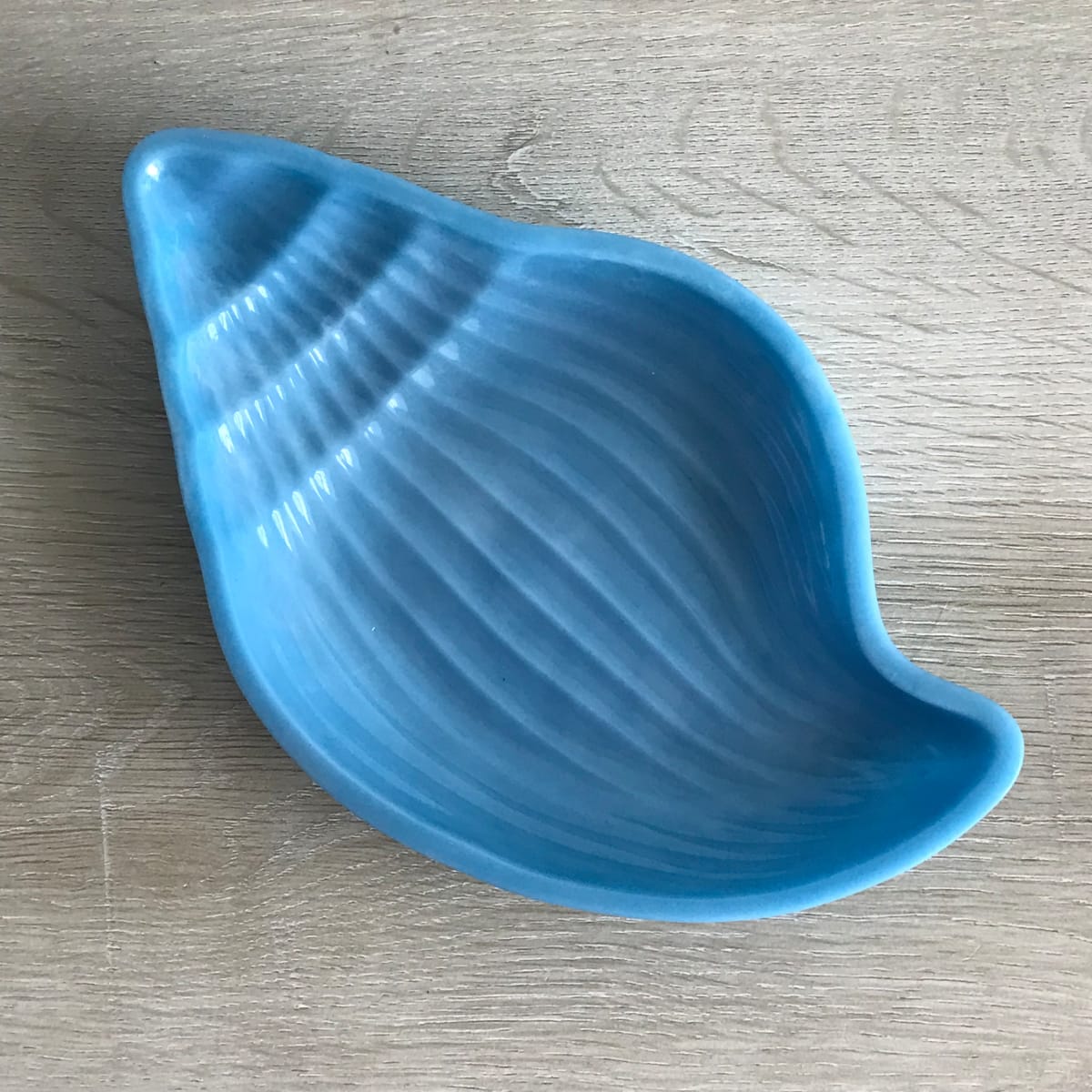 Large Tulip Shell Tray - GLOcean by Colorvine by Kelsey 