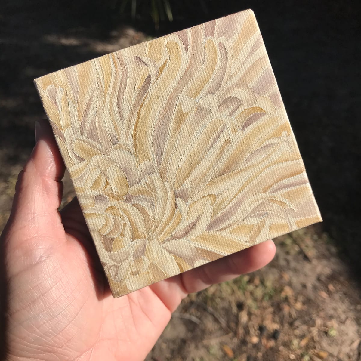 Brown Chrysanthemum 