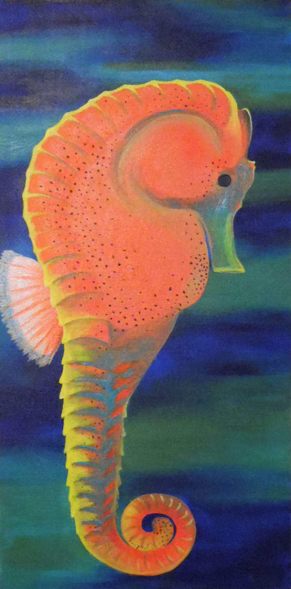 Seahorse, Image 3.