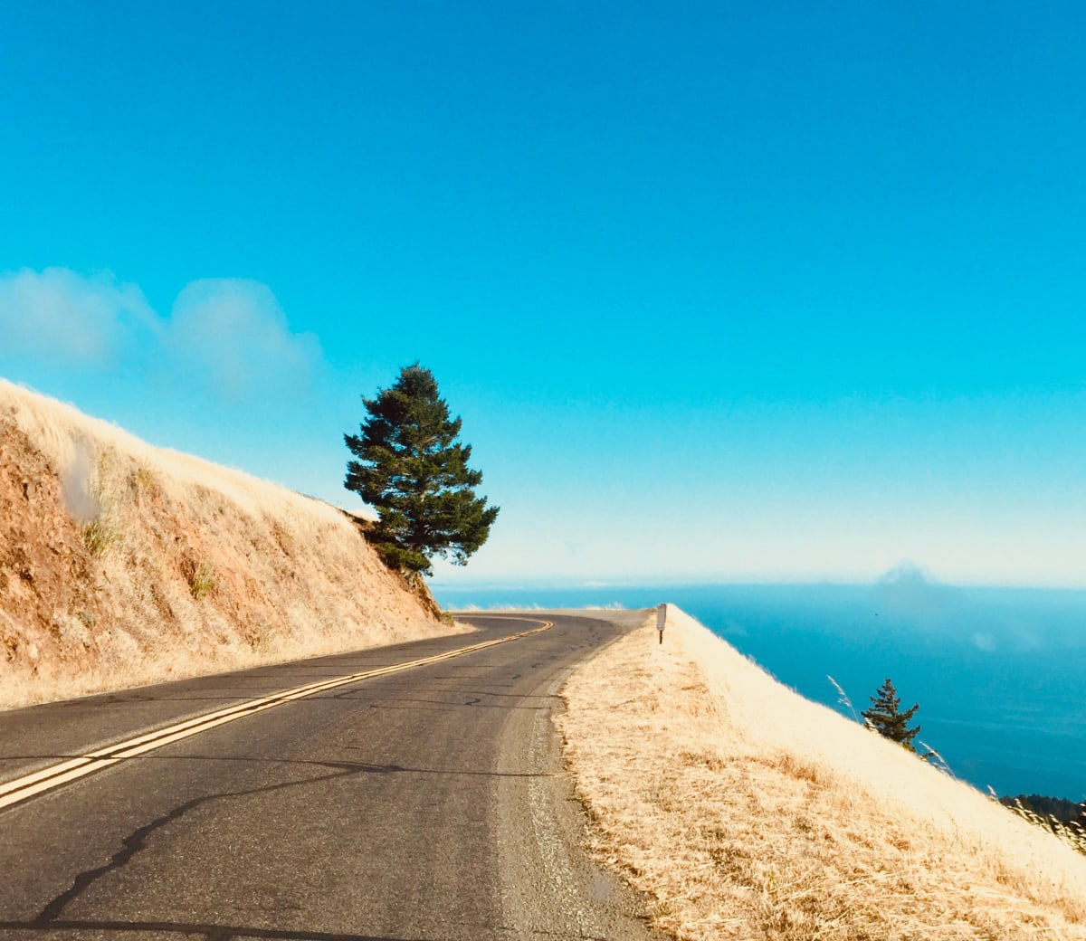 Lone Pine, Image 1.