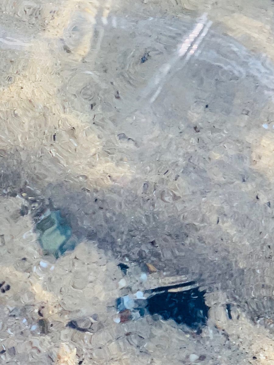 Findings, Image 1.