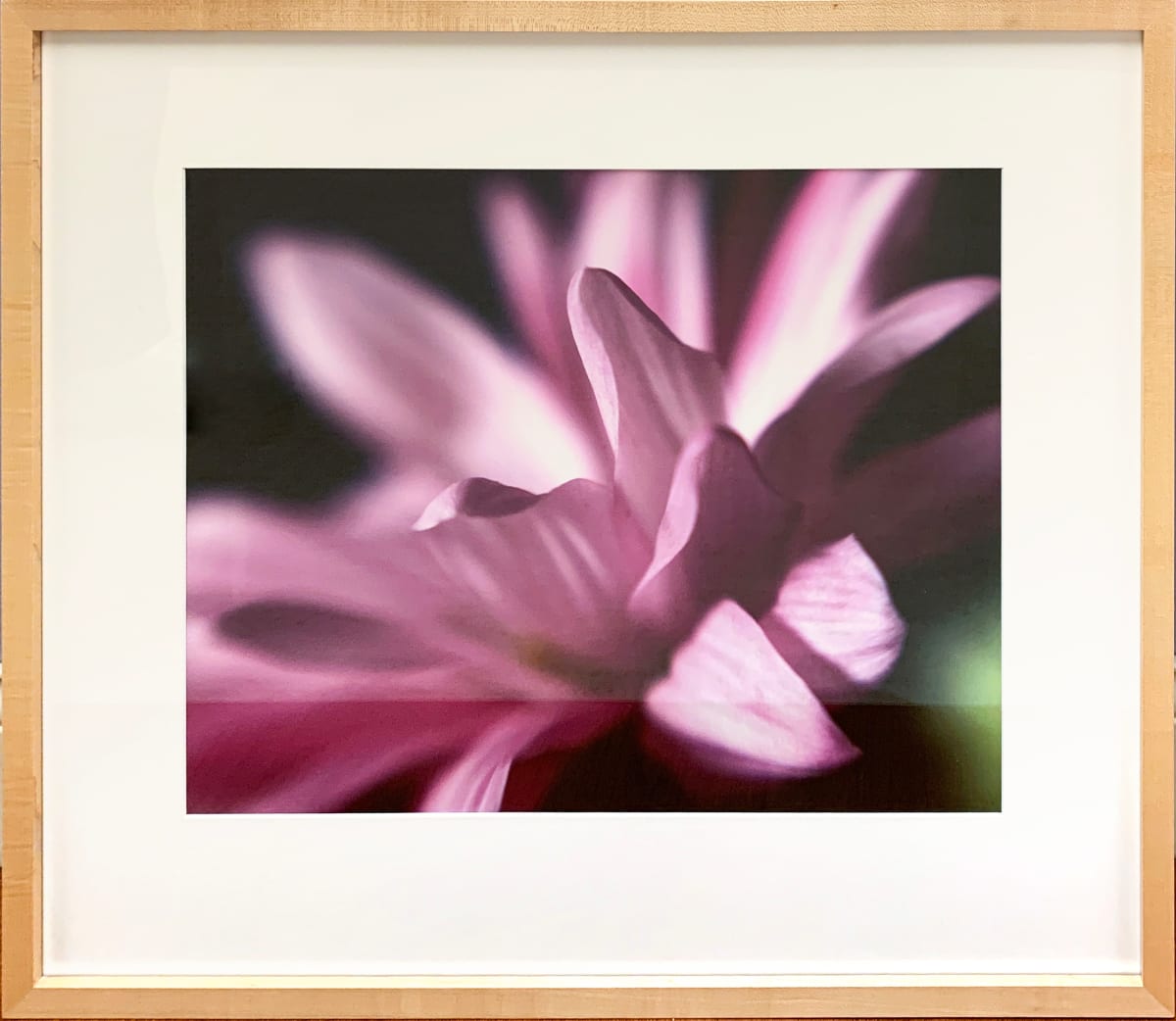 Pink Mum by Ted Van Cleave, Image 1.