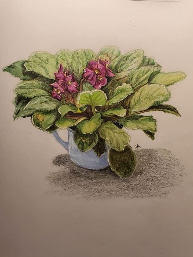 Rescued Violet, Image 1.