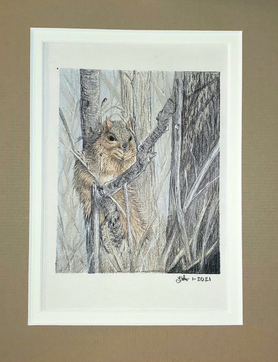 Luvina's Squirrel, Image 1.