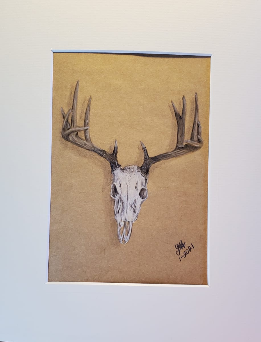 White Tail Skull, Image 1.