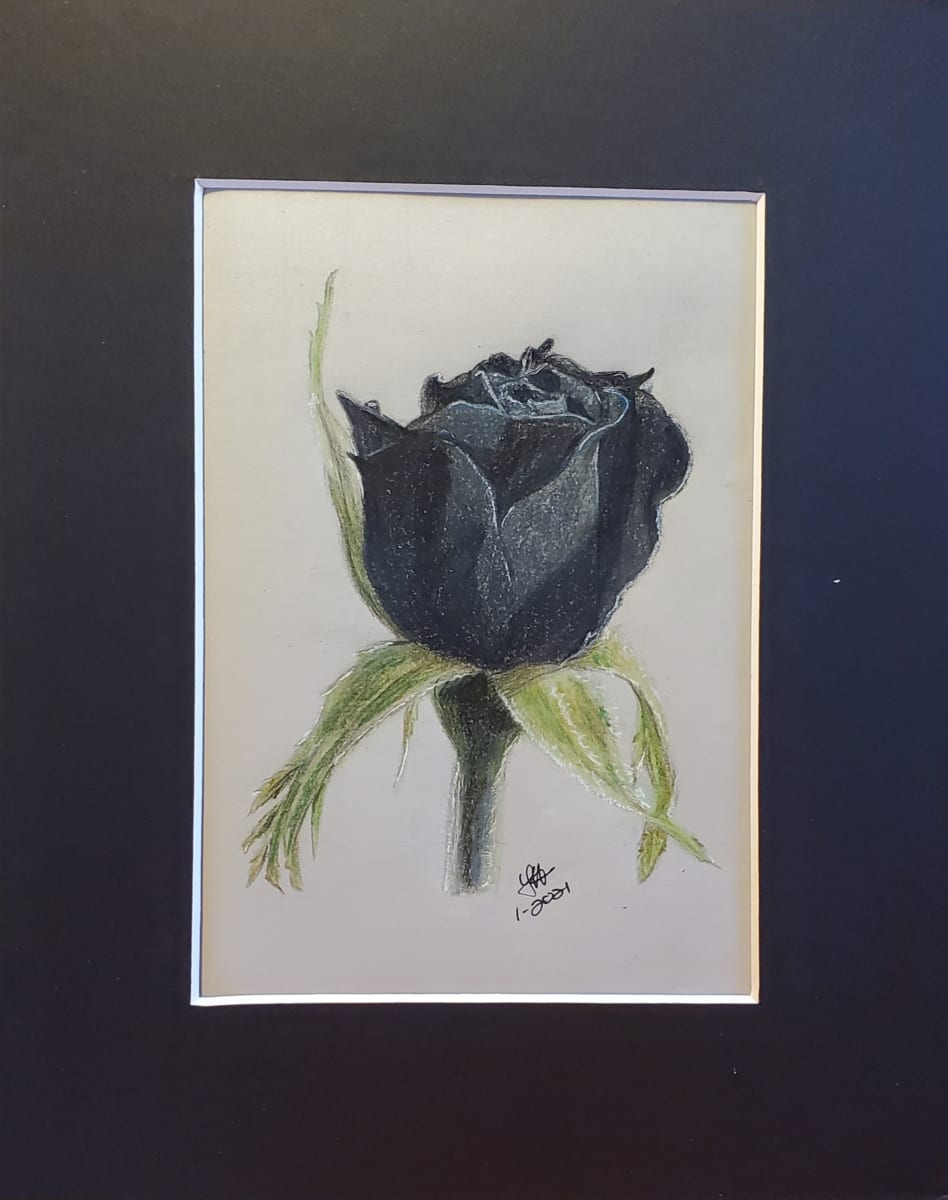 Black Rose, Image 1.