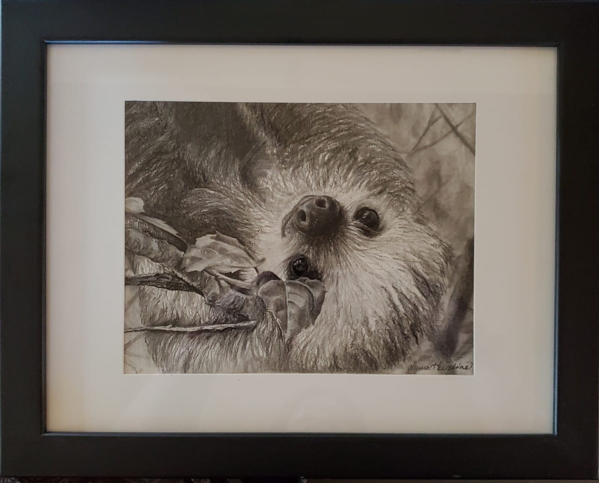 Slow and Steady, Image 1.