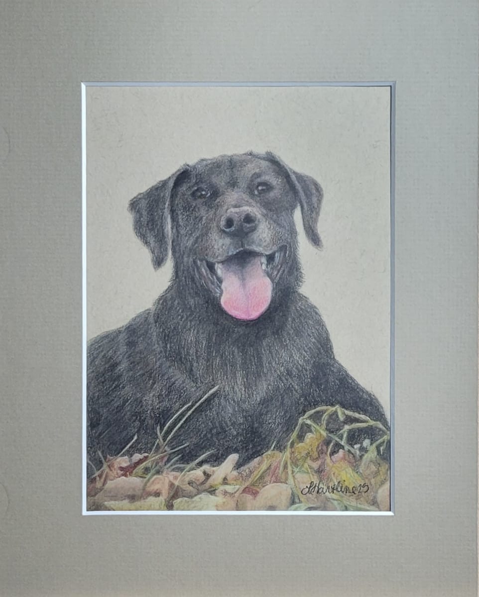 Scout by Laura Sue Hartline , Image 7.