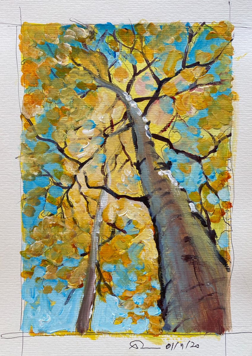 Tree study #1, Image 1.