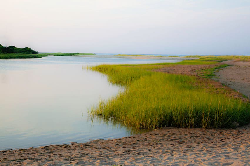 Ocean's Edge by Catherine Hartigan Photography  Image: Captured on Martha's Vineyard