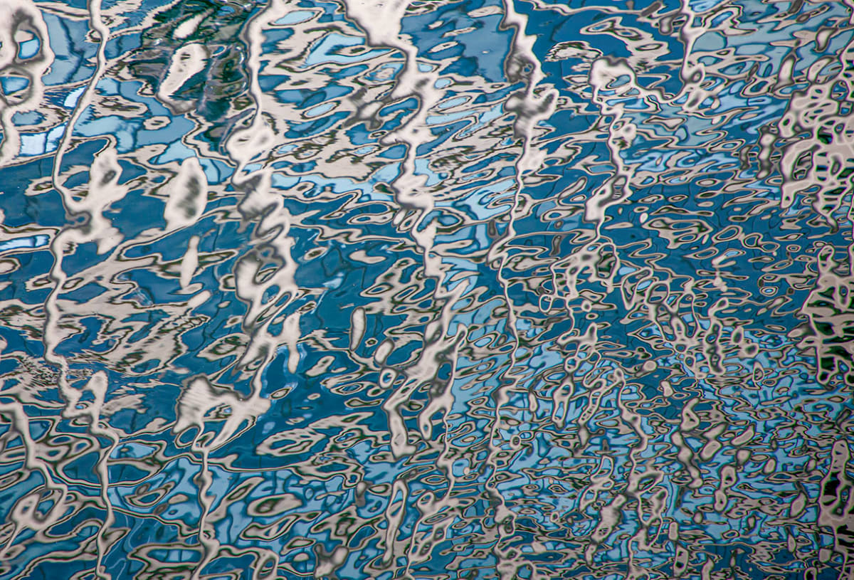 Touch of Grey by Catherine Hartigan Photography 