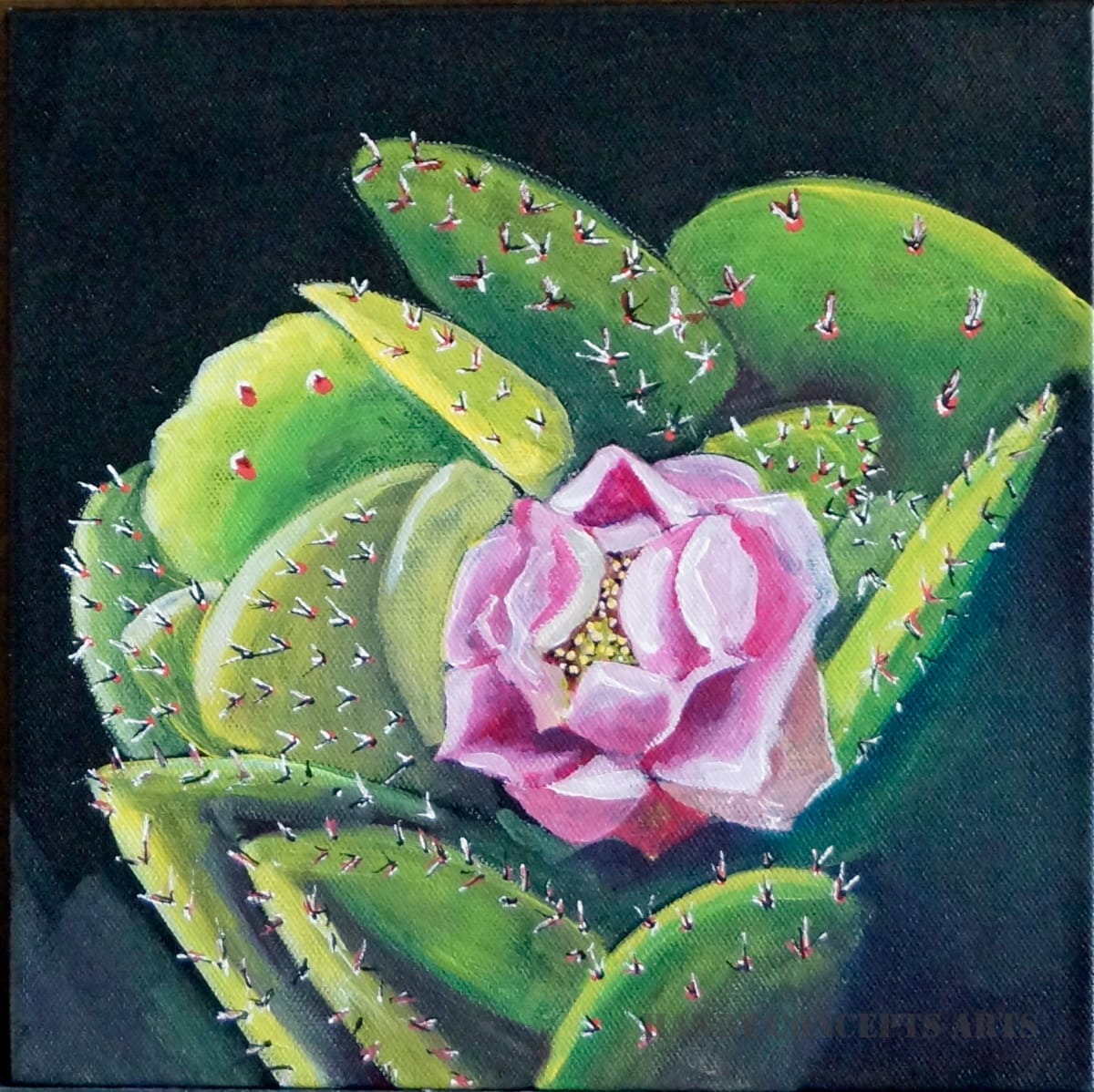 Flowering cactus 06.2 by Cheryl Handy  Image: v2. acrylic on canvas