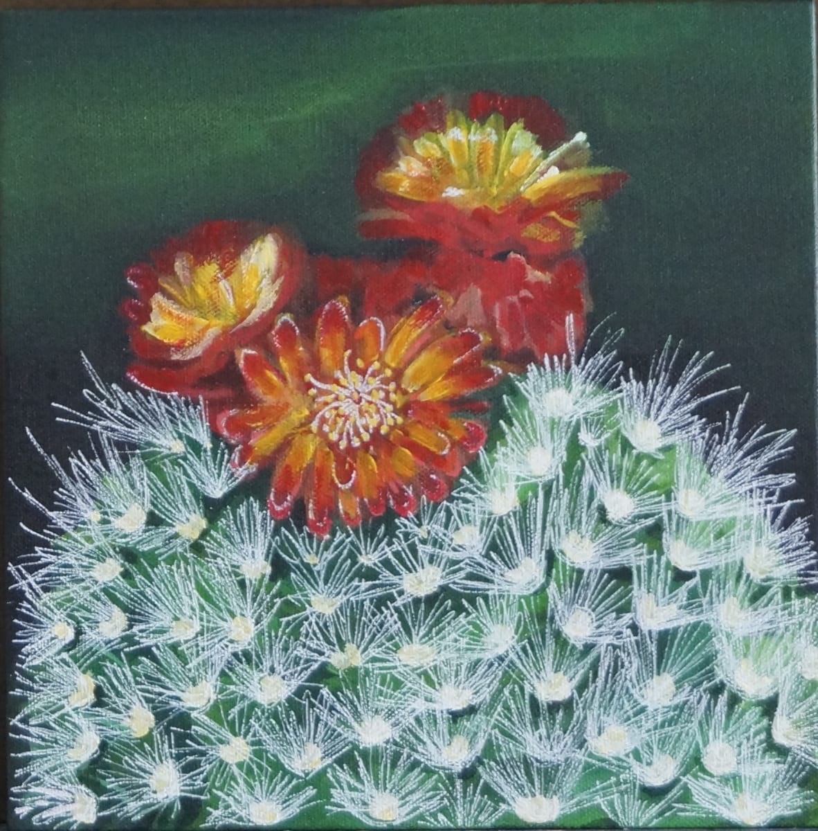 cactus bowl by Cheryl Handy  Image: 3-flower cactus