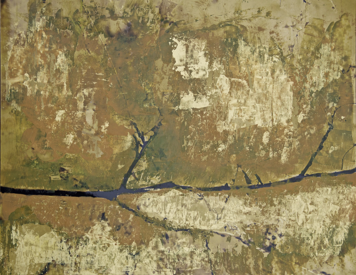 Tree by Jayne Walther 