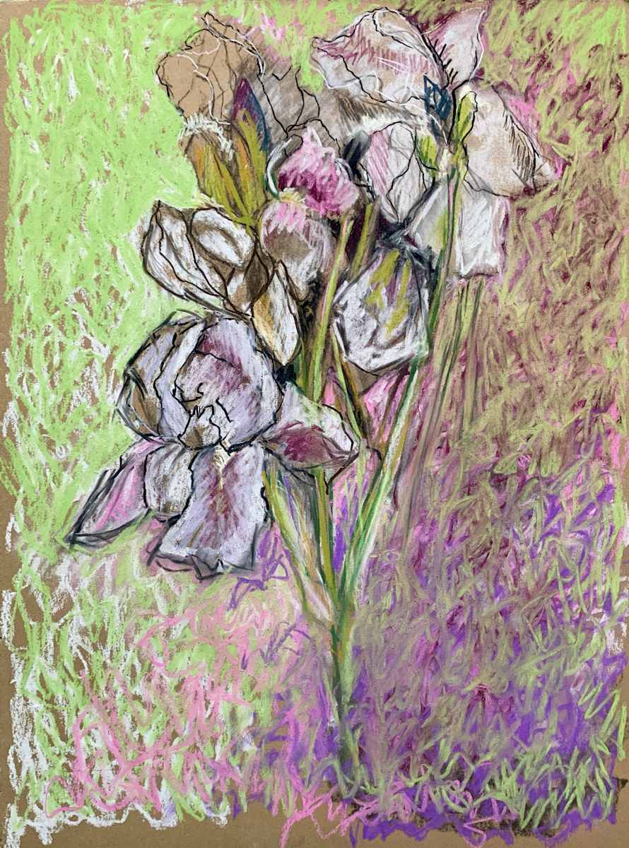 Garden Irises by Kirby Fredendall 