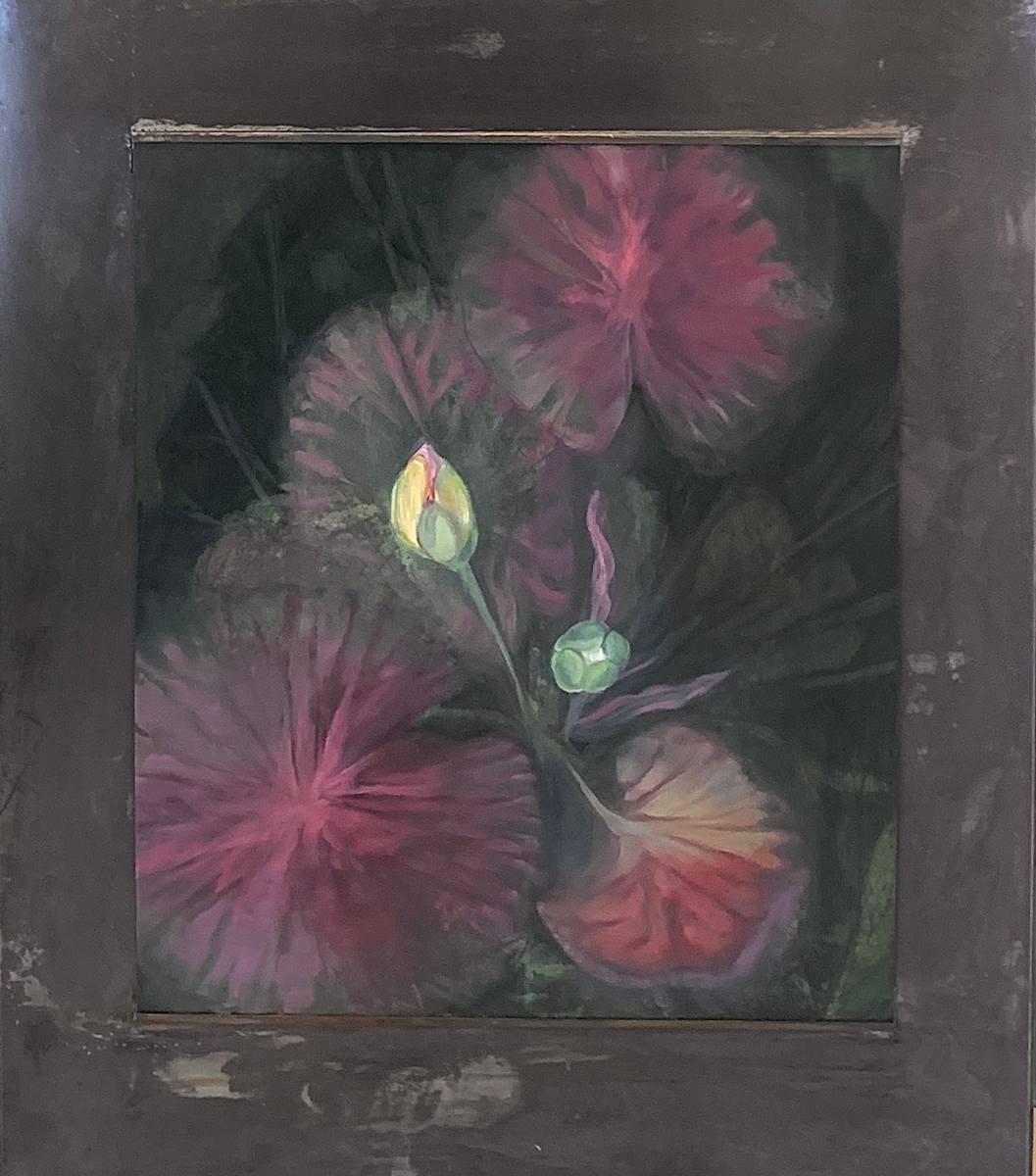 Water Lilies by Kirby Fredendall 