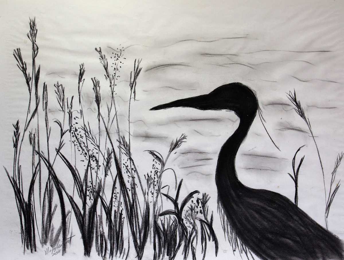 Blue Heron Sketch by Melissa Eggleston, Image 1.