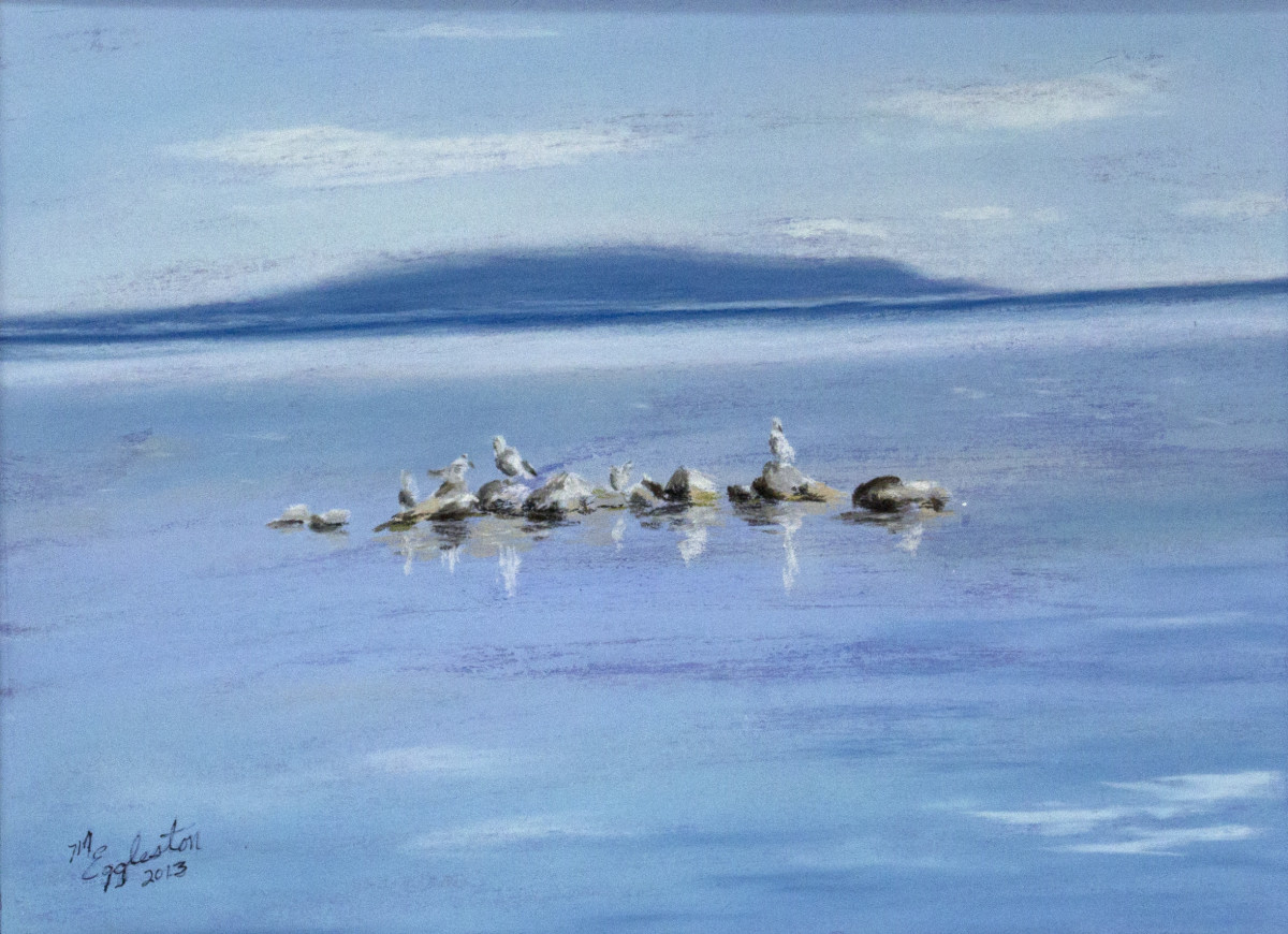 Seagulls on the Rocks by Melissa Eggleston 