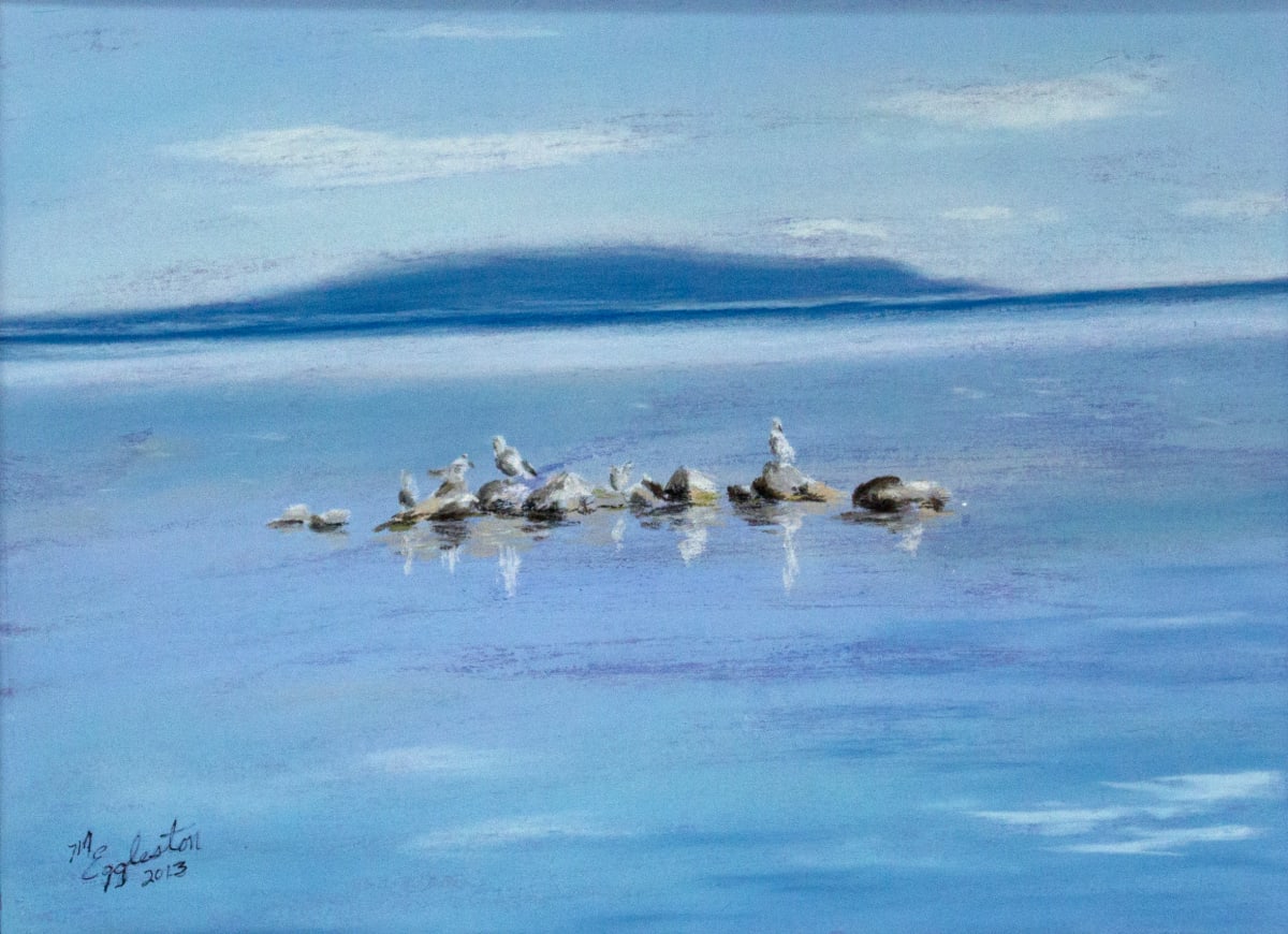 Seagulls on the Rocks by Melissa Eggleston, Image 1.