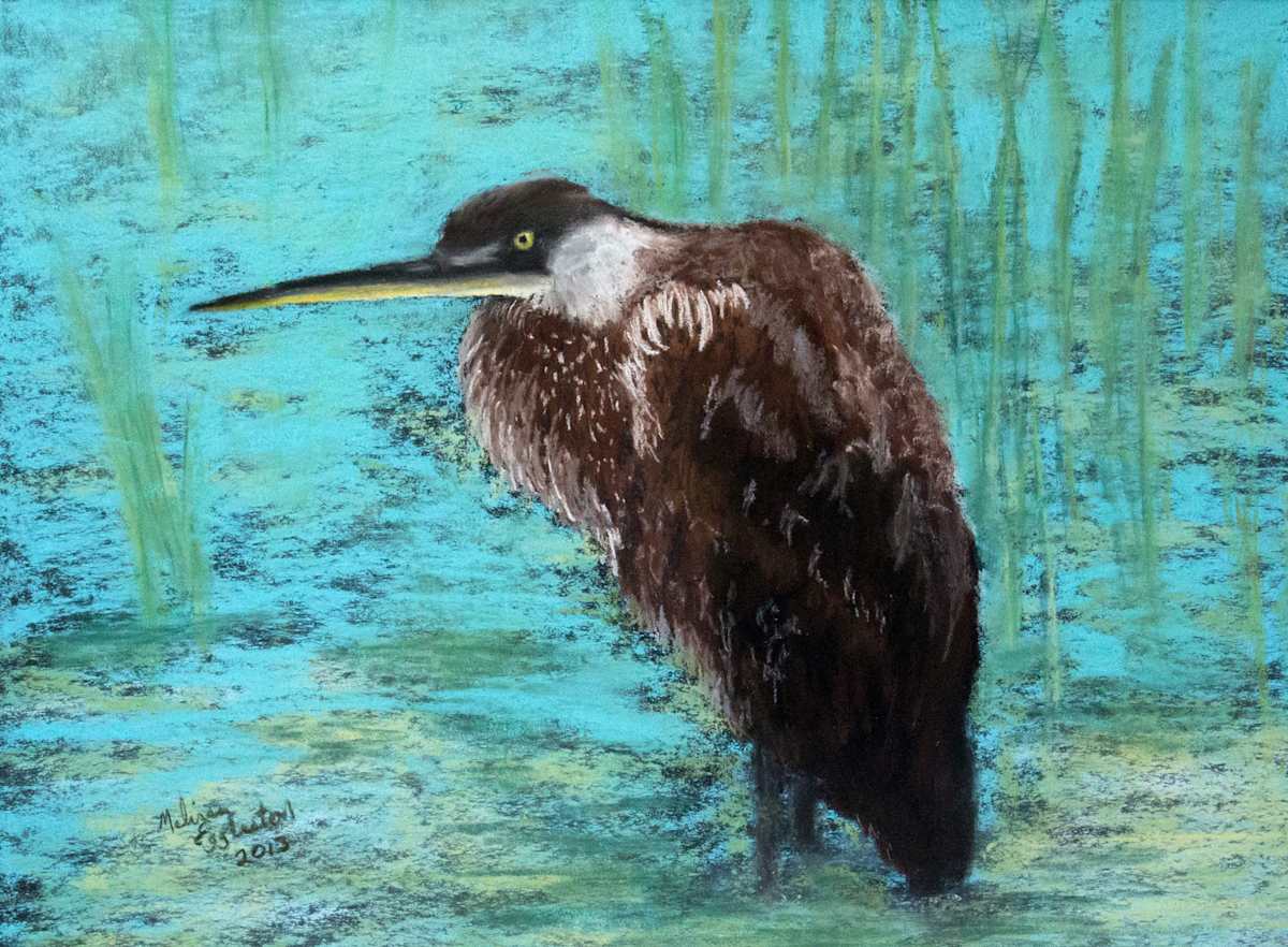 Adolescent Blue Heron by Melissa Eggleston, Image 1.