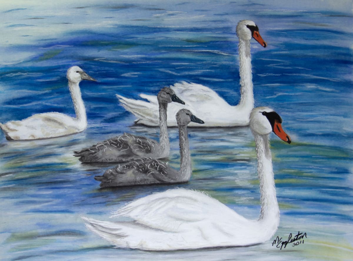 Swan Family by Melissa Eggleston, Image 1.