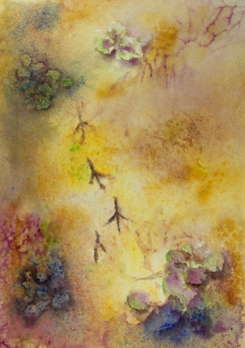 Tracks in the Water by Melissa Eggleston, Image 1.