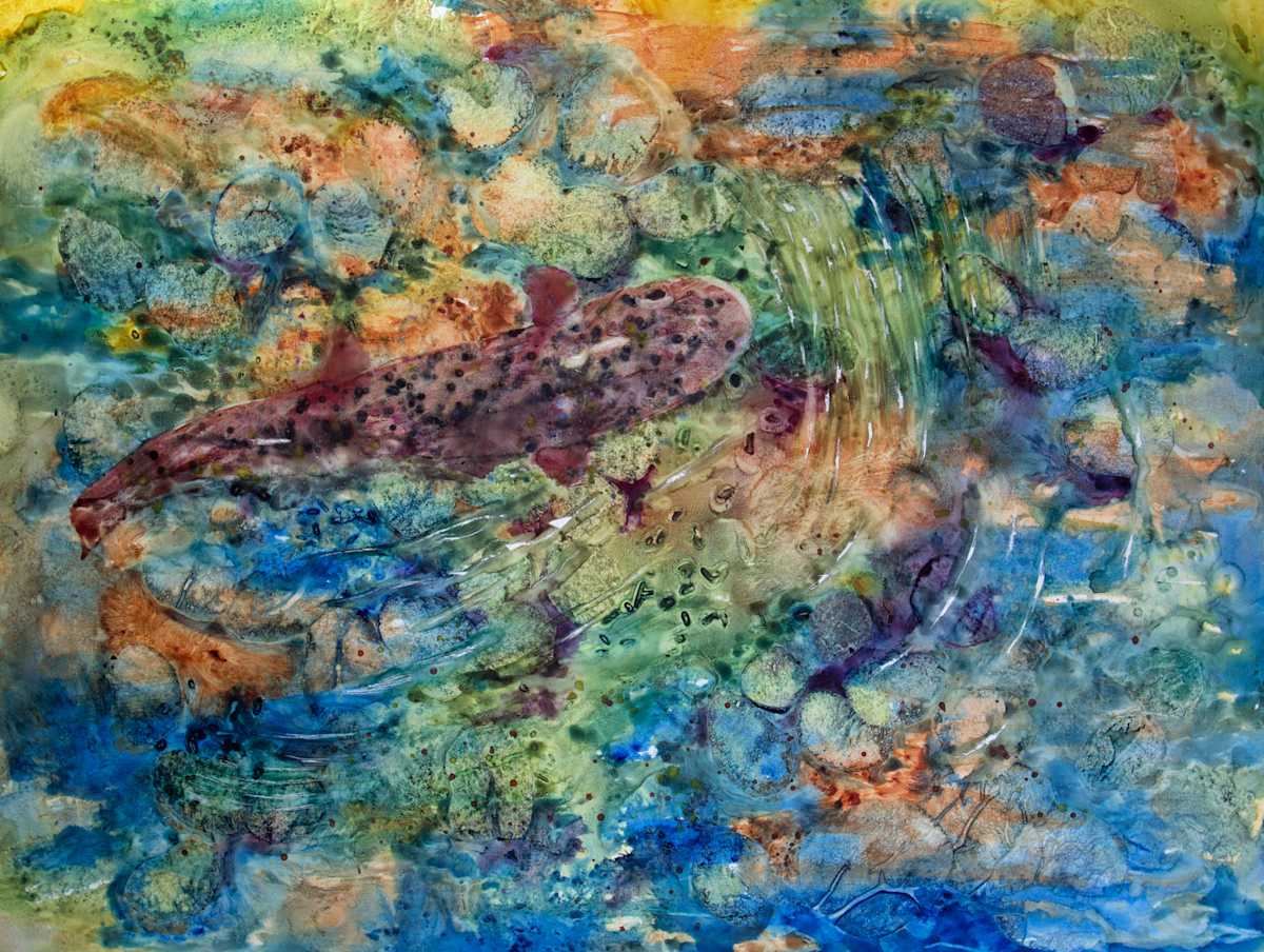 Rainbow Trout by Melissa Eggleston, Image 1.