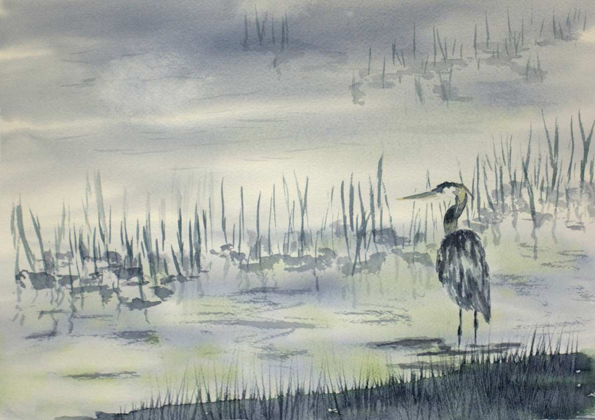 Blue Heron 2 by Melissa Eggleston, Image 1.