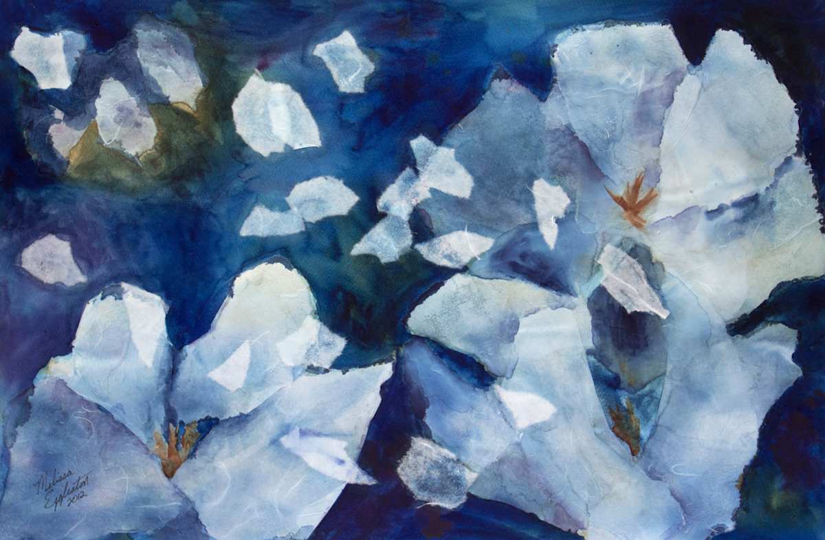 Floating on the wind by Melissa Eggleston, Image 1.
