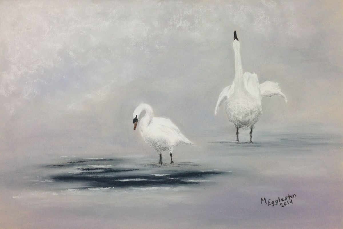 Swans in the Snow by Melissa Eggleston 