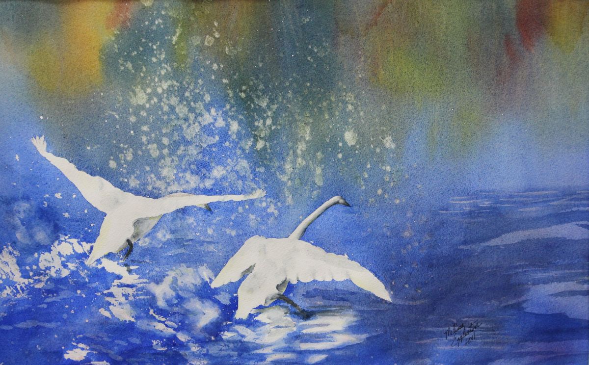 Action Swans by Melissa Eggleston 