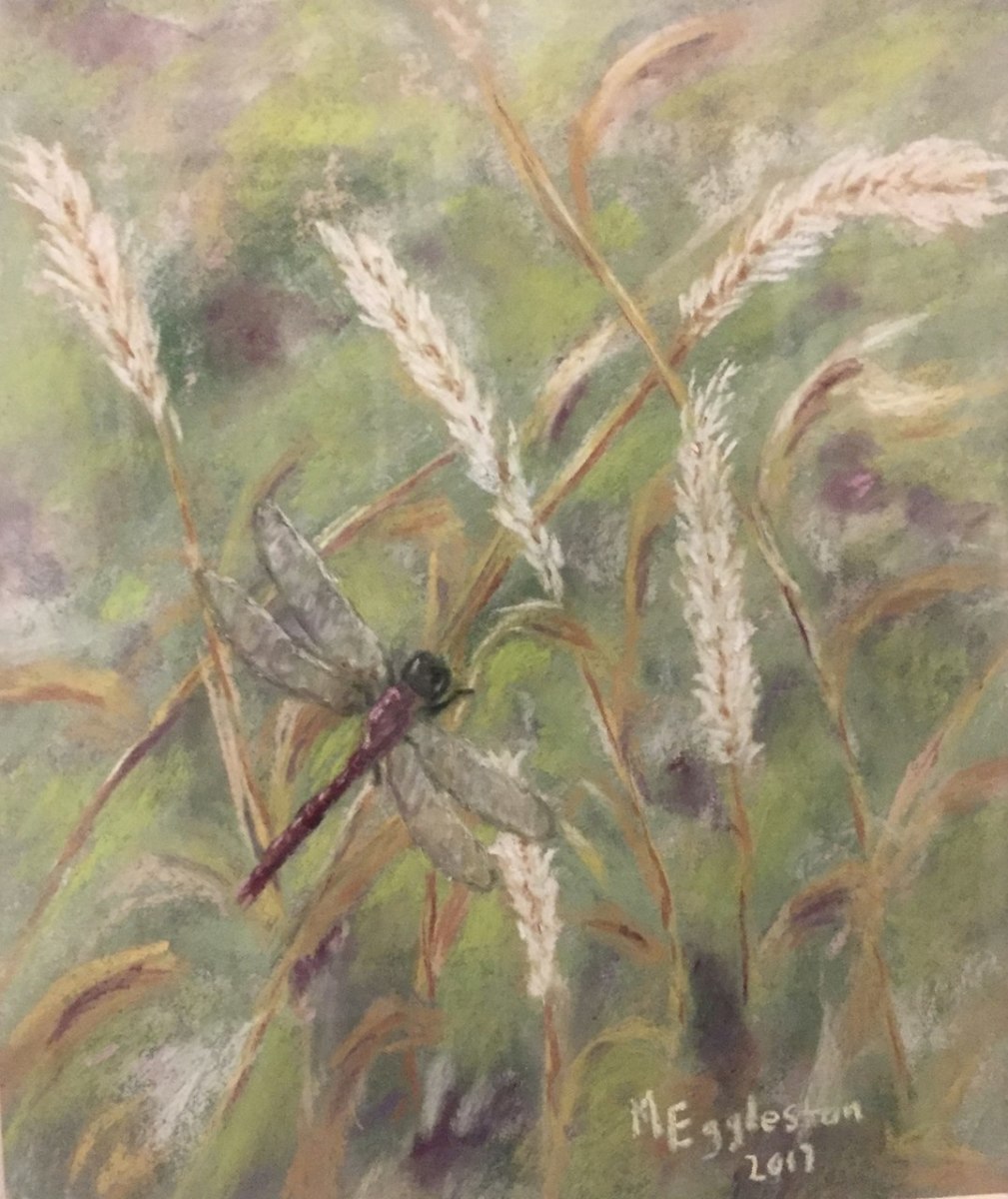 Dragonfly in the Garden by Melissa Eggleston 