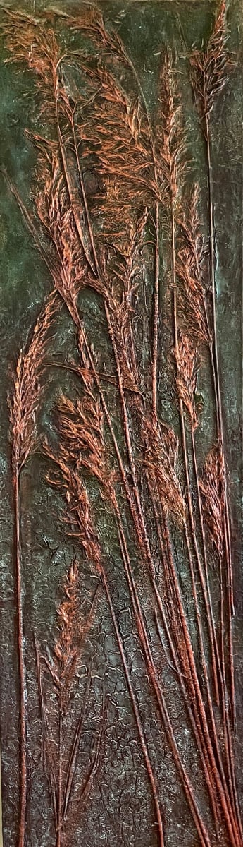 Dried Reedbed by sally 