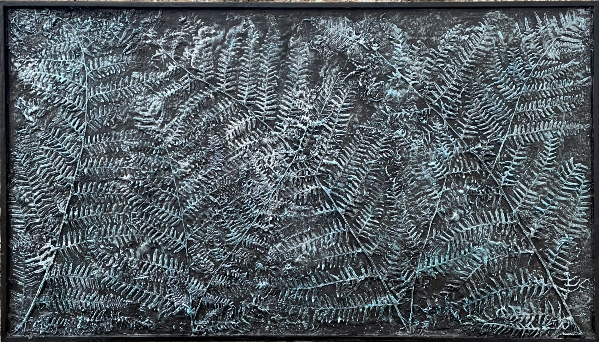 Framed ferns by sally, Image 1.