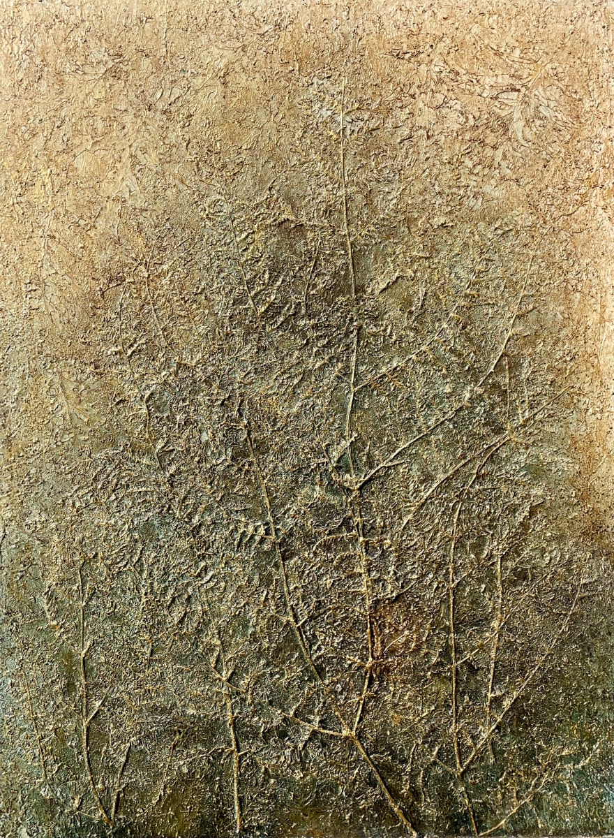 Forest Floor by sally 