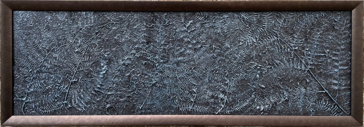 Framed fern by sally 