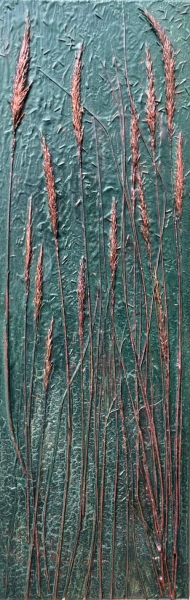 Bronze Grasses by sally 