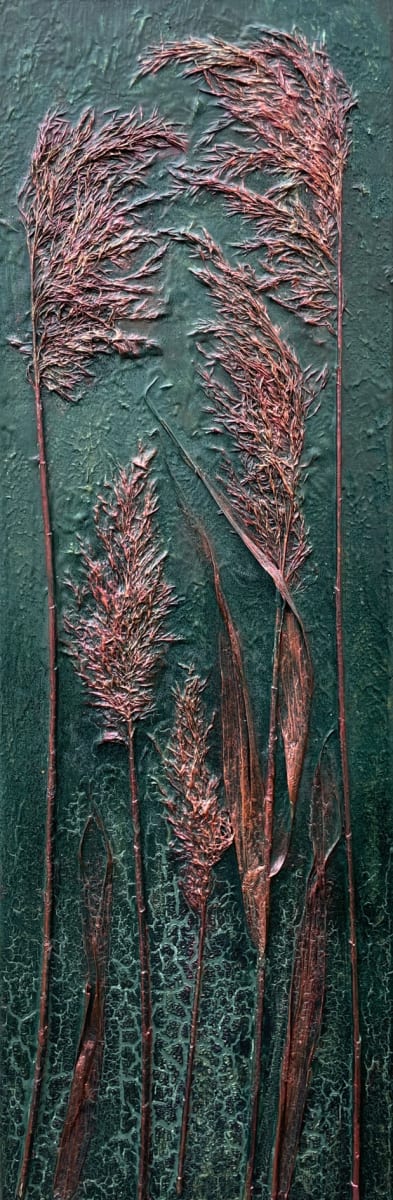 Bronze Reeds by sally 