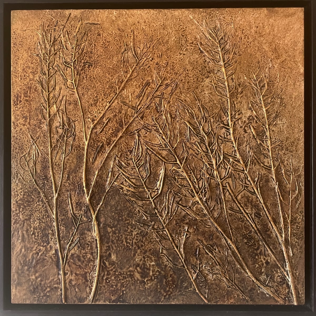 Golden Seedpods by sally 