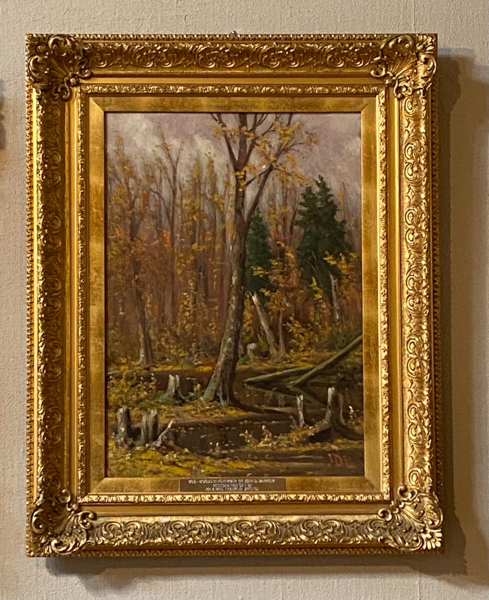 Woods in November by John D. Barrow 