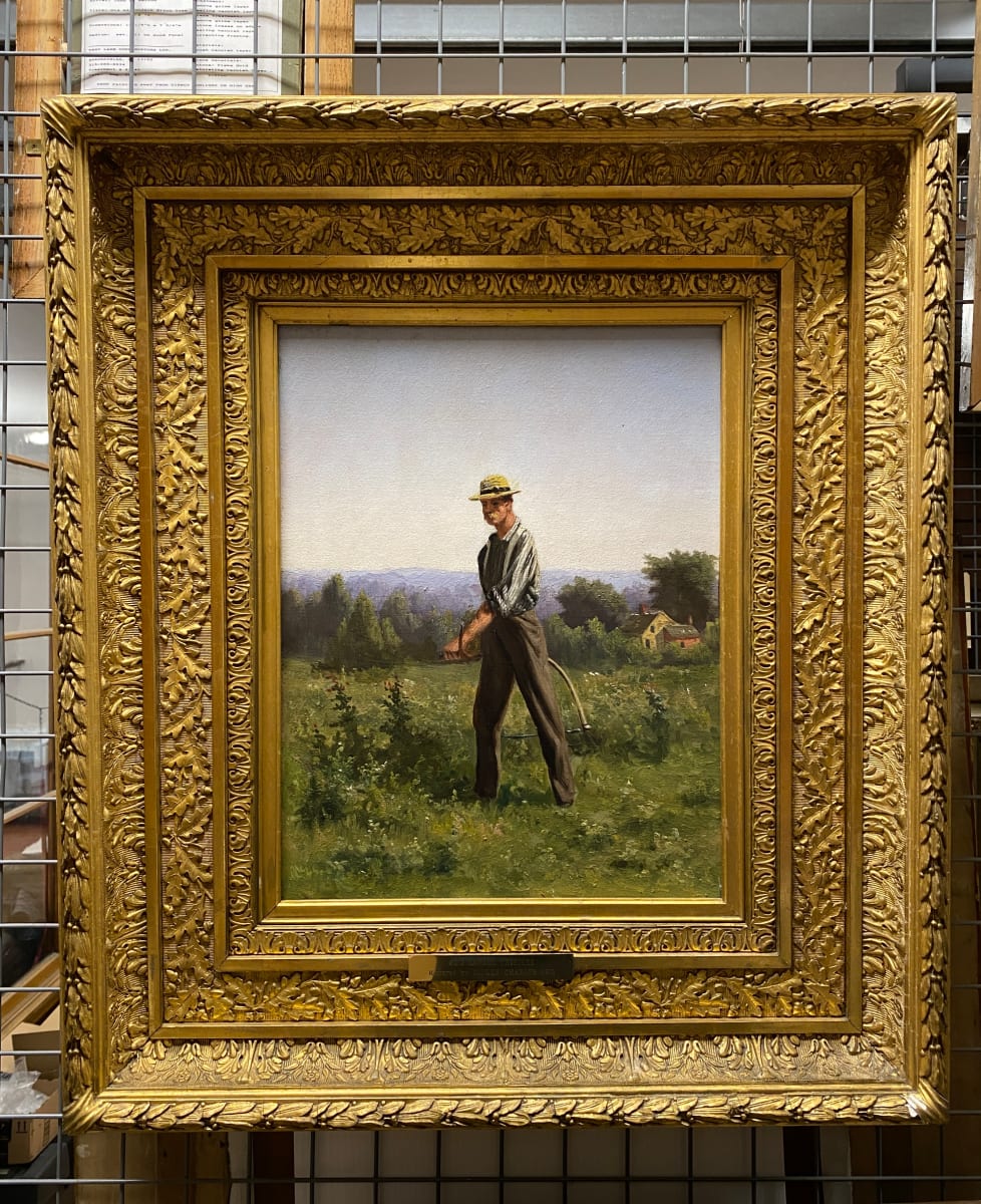 Canada Thistles by John D. Barrow 