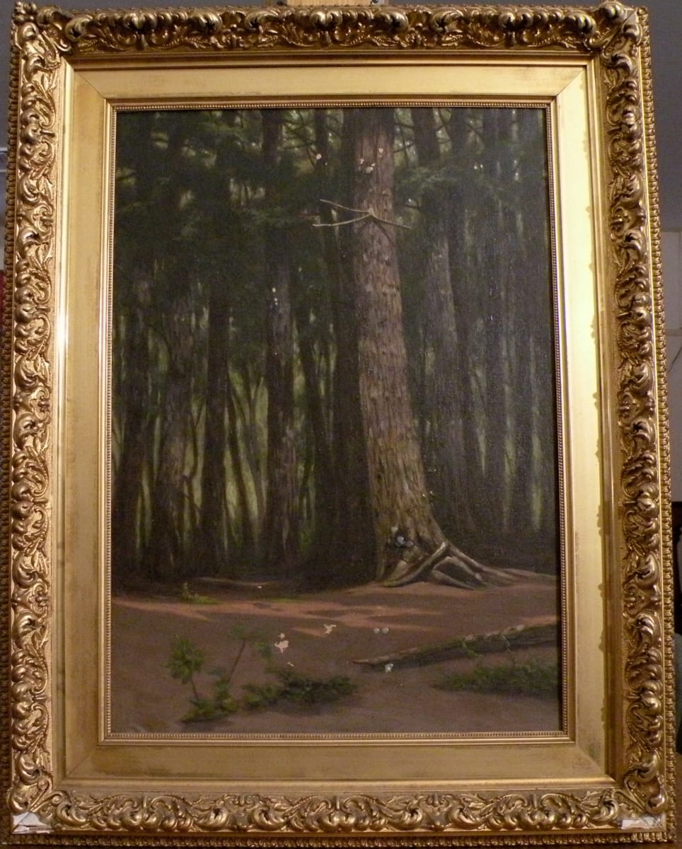 The Falling Monarch by John D. Barrow 