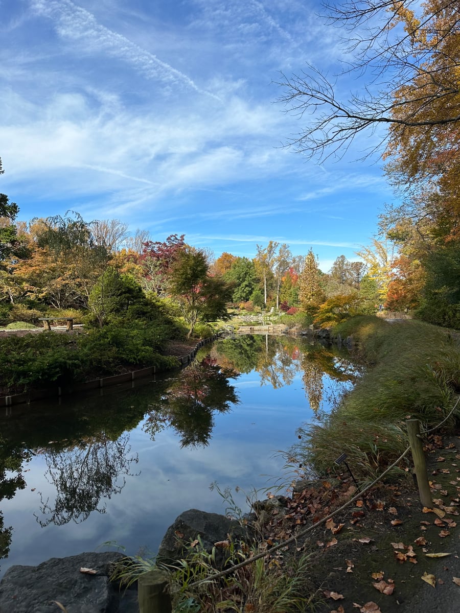 Autumn Relections by Melanie Greenfield 