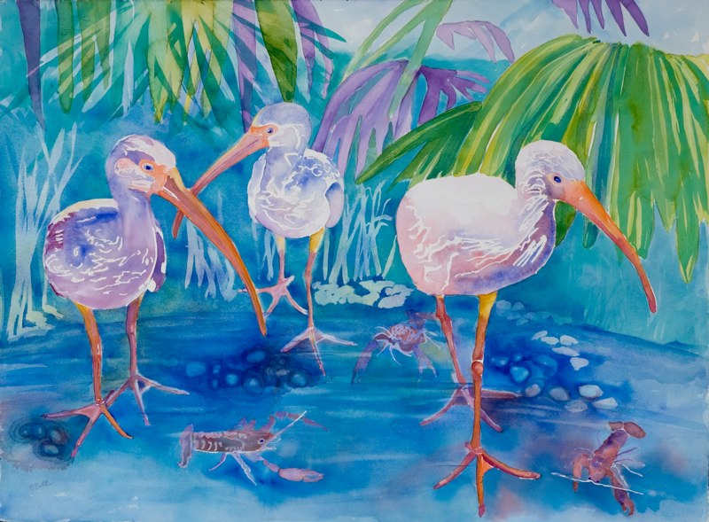 Florida by Barbara Bell 
