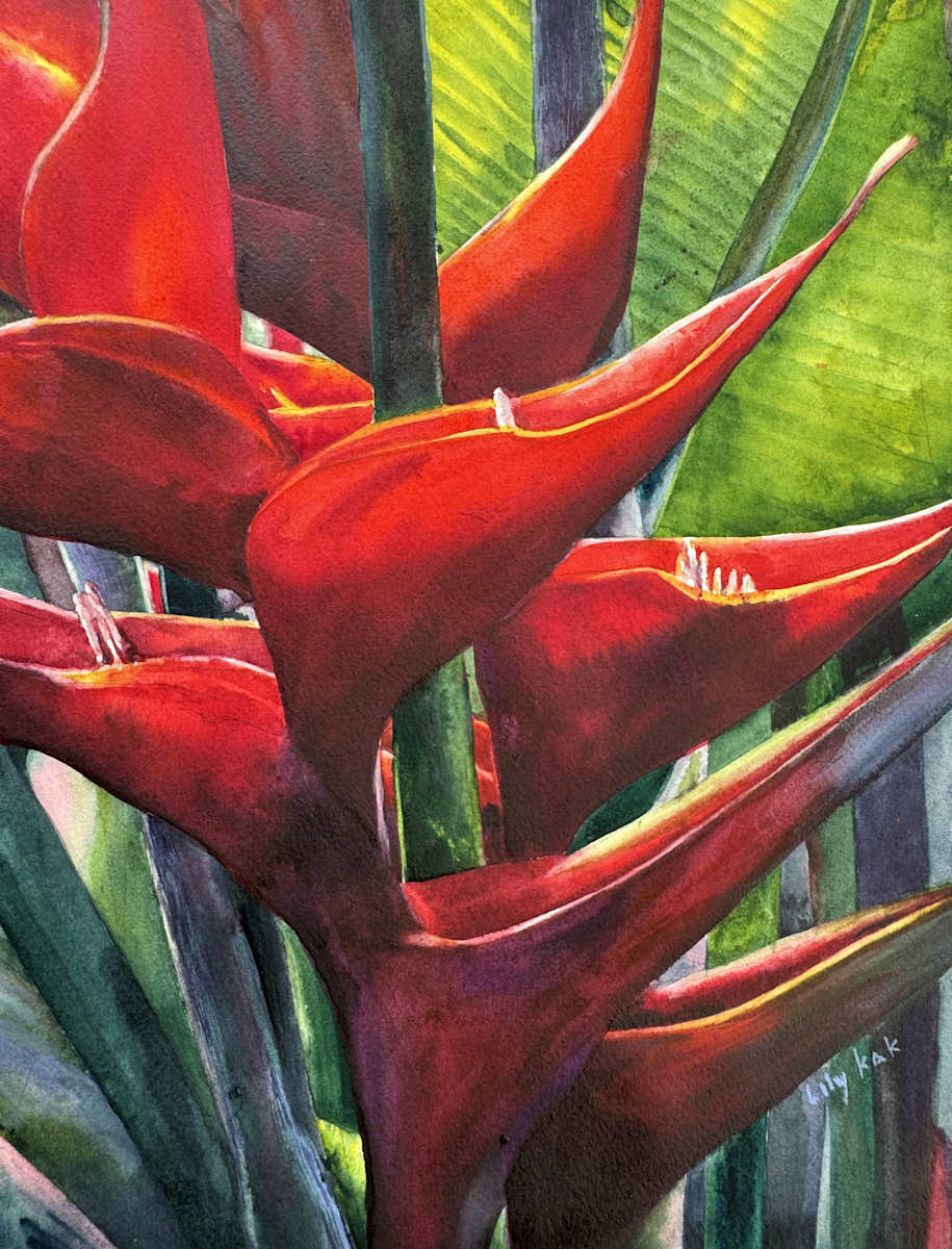 Blazing Red by Lily Kak 