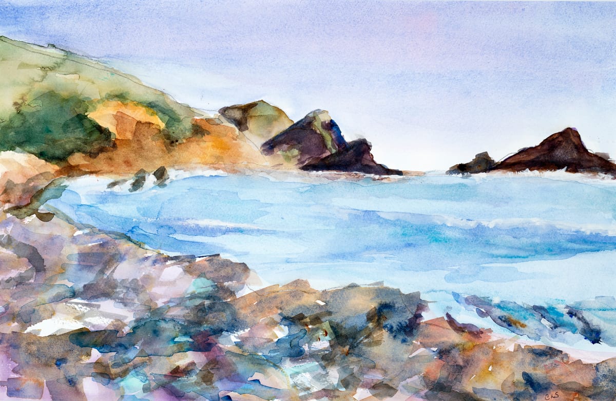 Big Sur Coast by Carol Starr 