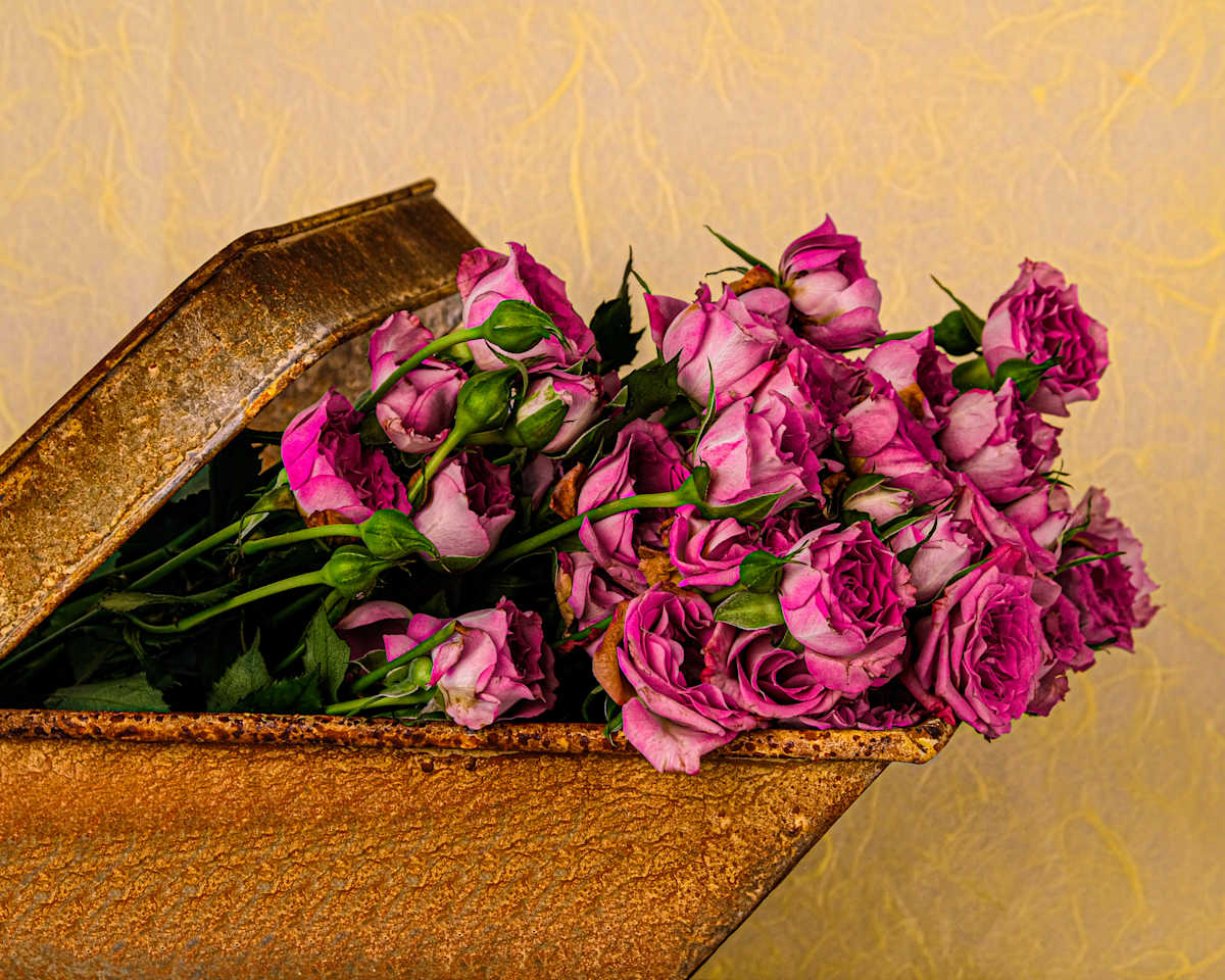 A Basketful of Roses by Stephanie Banks 