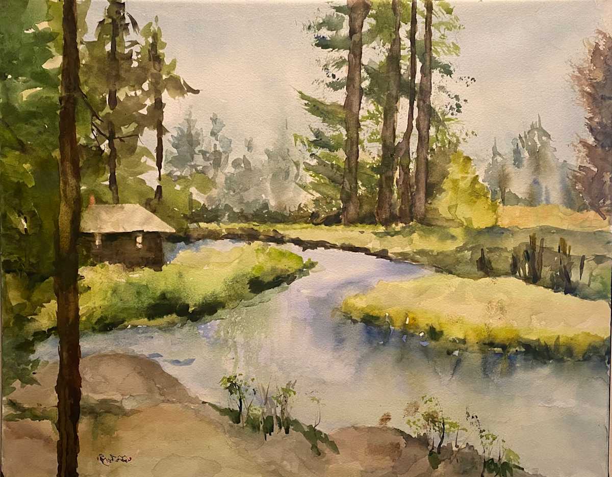 Dream Cabin by Jane Salomon 